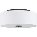 PROGRESS LIGHTING P350130-143 Graphite Inspire Collection 13" Two-Light Flush Mount