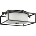 PROGRESS LIGHTING P350171-031 Matte Black Chadwick Collection Two-Light Black 15-3/8" Flush Mount