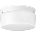 PROGRESS LIGHTING P3520-30 White Two-Light White Glass 10-3/4" Close-to-Ceiling