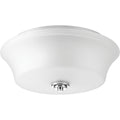 PROGRESS LIGHTING P3633-15 Polished Chrome Cascadia Collection Two-Light 14" Flush Mount