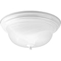 PROGRESS LIGHTING P3925-30 White Two-Light Dome Glass 13-1/4" Close-to-Ceiling