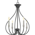 PROGRESS LIGHTING P400029-143 Graphite Whisp Collection Four-Light Graphite Farmhouse Chandelier Light