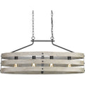 PROGRESS LIGHTING P400097-143 Graphite Gulliver Collection Four-Light Graphite Coastal Linear Chandelier Light