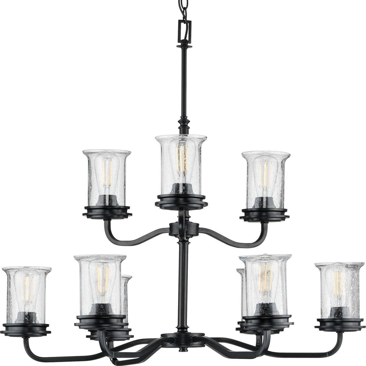 PROGRESS LIGHTING P400208-031 Matte Black Winslett Collection Nine-Light Matte Black Clear Seeded Glass Coastal Chandelier Light