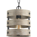 PROGRESS LIGHTING P500022-143 Graphite Gulliver Collection One-Light Graphite Coastal Pendant Light