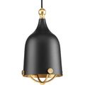 PROGRESS LIGHTING P500032-031 Matte Black Era Collection One-Light Matte Black and Gold Global Pendant Light