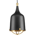 PROGRESS LIGHTING P500033-031 Matte Black Era Collection One-Light Matte Black and Gold Global Pendant Light