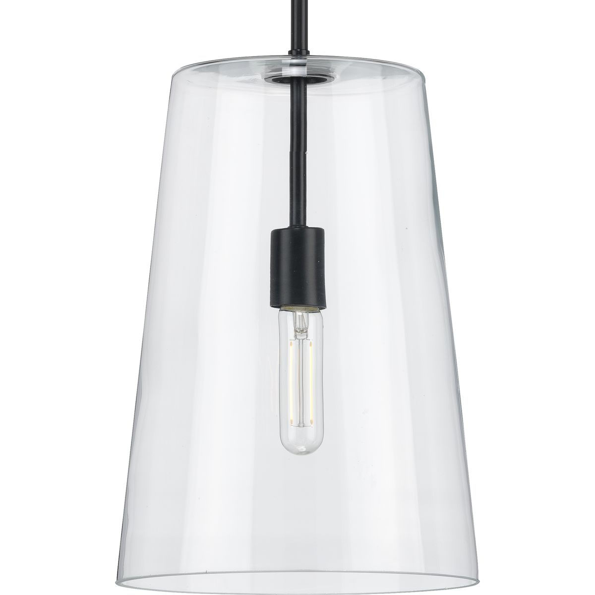 PROGRESS LIGHTING P500242-031 Matte Black Clarion Collection One-Light Matte Black Clear Glass Coastal Pendant Light