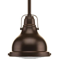 PROGRESS LIGHTING P5050-108 Oil Rubbed Bronze Fresnel Lens Collection One-Light Oil Rubbed Bronze Clear Fresnel Glass Coastal Mini-Pendant Light