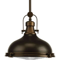 PROGRESS LIGHTING P5188-10830K9 Oil Rubbed Bronze Fresnel Lens LED Collection Oil Rubbed Bronze Clear Fresnel Glass Coastal Pendant Light