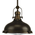 PROGRESS LIGHTING P5188-108 Oil Rubbed Bronze Fresnel Lens Collection One-Light Oil Rubbed Bronze Fresnel Glass Coastal Pendant Light