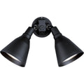 PROGRESS LIGHTING P5203-31 Black Two-Light Adjustable Swivel Flood Light