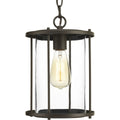 PROGRESS LIGHTING P550020-020 Antique Bronze Gunther Collection Hanging Lantern