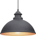 PROGRESS LIGHTING P550032-031 Textured Black Englewood Collection One-Light Hanging Lantern
