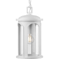 PROGRESS LIGHTING P550050-028 Satin White Gables Collection One-Light Coastal Satin White Clear Glass Outdoor Wall Lantern