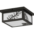 PROGRESS LIGHTING P550059-020 Antique Bronze Torrey Collection Antique Bronze Two-Light Outdoor Flush Mount