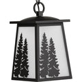 PROGRESS LIGHTING P550060-020 Antique Bronze Torrey Collection Antique Bronze One-Light Hanging Lantern