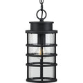 PROGRESS LIGHTING P550061-031 Textured Black Port Royal Collection One-Light Hanging Lantern with DURASHIELD