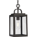 PROGRESS LIGHTING P550064-020 Antique Bronze Grandbury Collection One-Light Transitional Antique Bronze Clear Glass Outdoor Hanging Light with DURASHIELD