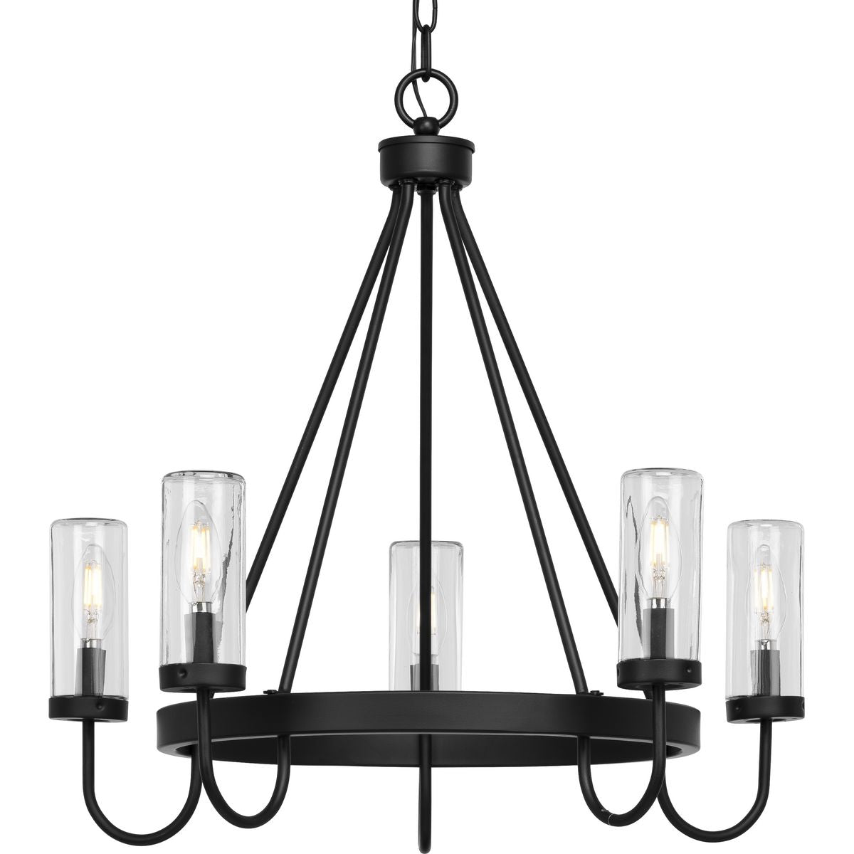 PROGRESS LIGHTING P550130-31M Matte Black Swansea Collection Four-Light 24" Matte Black Transitional Round Outdoor Chandelier with Clear Glass Shades