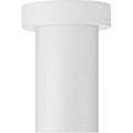 PROGRESS LIGHTING P550140-030 White 3" White Surface Mount Modern Adjustable Cylinder