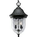 PROGRESS LIGHTING P5529-31 Textured Black Coventry Collection Two-Light Hanging Lantern