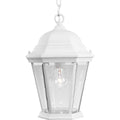 PROGRESS LIGHTING P5582-30 Textured White Welbourne Collection One-Light Hanging Lantern