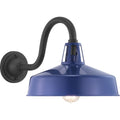 PROGRESS LIGHTING P560091-091 Navy Cedar Springs Collection Navy One-Light Extra Large Wall Lantern