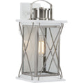 PROGRESS LIGHTING P560157-135 Stainless Steel Barlowe Collection Stainless Steel One-Light Medium Wall Lantern