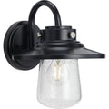 PROGRESS LIGHTING P560263-031 Matte Black Tremont Collection One-Light Matte Black and Clear Seeded Glass Farmhouse Style Medium Outdoor Wall Lantern
