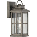 PROGRESS LIGHTING P560264-103 Antique Pewter Williamston Collection One-Light Antique Pewter and Clear Glass Transitional Style Small Outdoor Wall Lantern