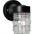 PROGRESS LIGHTING P5602-31 Textured Black One-Light Utility Wall Lantern