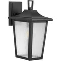PROGRESS LIGHTING P560308-031 Textured Black Padgett Collection One-Light Transitional Textured Black Clear Seeded Glass Outdoor Wall Lantern