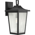 PROGRESS LIGHTING P560309-031 Textured Black Padgett Collection One-Light Transitional Textured Black Clear Seeded Glass Outdoor Wall Lantern