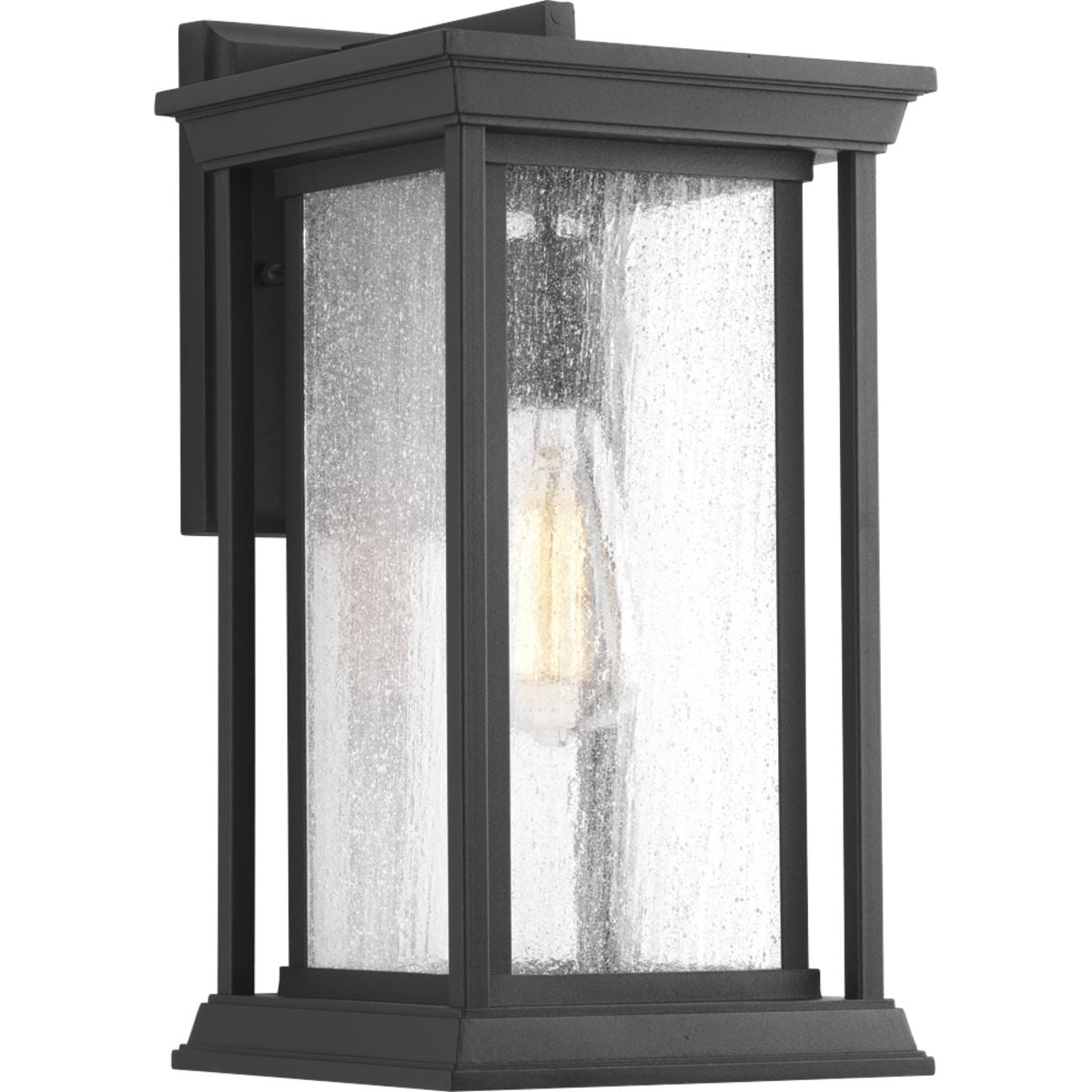 PROGRESS LIGHTING P5610-31 Textured Black Endicott Collection One-Light Medium Wall Lantern