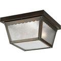 PROGRESS LIGHTING P5729-20 Antique Bronze Two-Light 9-1/4" Flush Mount for Indoor/Outdoor use