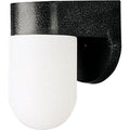 PROGRESS LIGHTING P5817-31 Textured Black Non-Metallic Incandescent One-Light Outdoor Wall Lantern