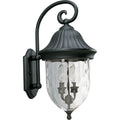 PROGRESS LIGHTING P5829-31 Textured Black Coventry Collection Two-Light Wall Lantern