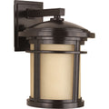 PROGRESS LIGHTING P6085-2030K9 Antique Bronze Wish Collection One-Light Medium LED Wall Lantern