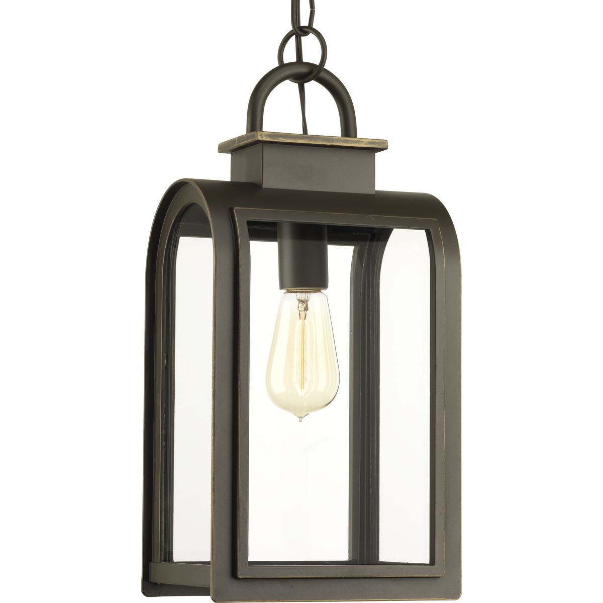 PROGRESS LIGHTING P6531-108 Oil Rubbed Bronze Refuge Collection One-Light Hanging Lantern
