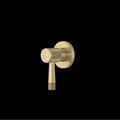 ROHL TAM18W1LMAG Amahle Trim For Volume Control And Diverter In Antique Gold