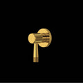 ROHL TAM18W1LMULB Amahle Trim For Volume Control And Diverter In Unlacquered Brass