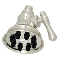 ROHL WI0123PN 4" Multi-Function Showerhead In Polished Nickel