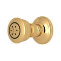 ROHL 1095/8ULB 2-Function Body Spray In Unlacquered Brass