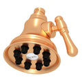 ROHL WI0123SG 4" Multi-Function Showerhead In Satin Gold