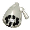 ROHL BI00059PN 4" Multi-Function Showerhead In Polished Nickel