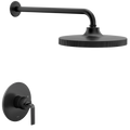 MOEN TS2582EPBL Cambium Posi-Temp Shower Only - Matte Black
