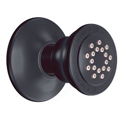 MOEN A501WR Chrome Body Spray - Wrought Iron