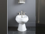 KOHLER K-4854-0 San Tropez Vertical Spray Bidet With 4 Faucet Holes - White