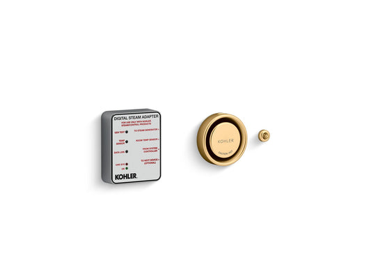 KOHLER K-5548-K1-2MB Invigoration Series Dtv+ Steam Adapter Kit In Vibrant Brushed Moderne Brass